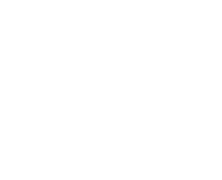 Mindsight Coach